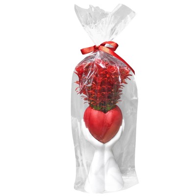 Διακοσμητική Γλάστρα σε Παλάμη με Κόκκινα Άνθη Κόκκινη Καρδιά 