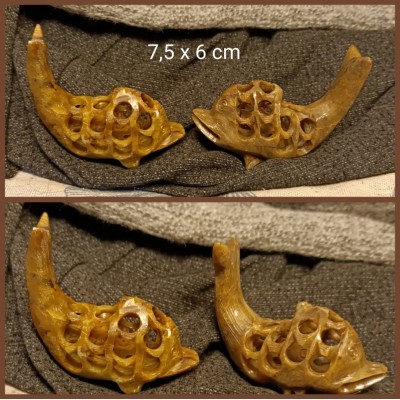 Δελφίνι πέτρινο