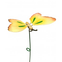 IRON MOVEMENT BUTTERFLY