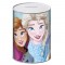 Κουμπαράς μεταλλικός frozen 