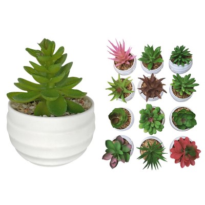 Γλαστράκι Πλαστικό Οβάλ με Φυτό 